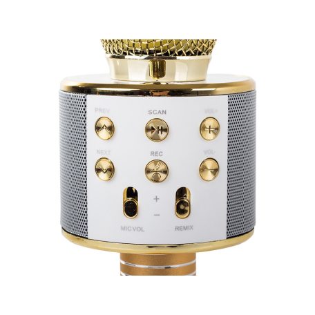 Bezdrôtový karaoke mikrofón s reproduktorom a modulátorom