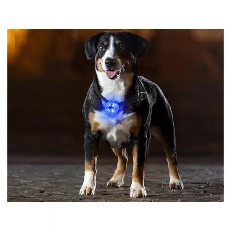 Svietiaci prívesok LED na obojok