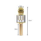 Bezdrôtový karaoke mikrofón s reproduktorom v čiernej farbe v praktickom držiaku