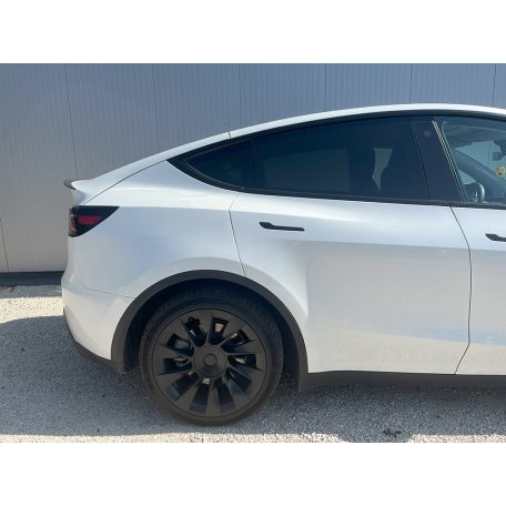 Zadné karbónové krídlo - Tesla Model Y  / 3