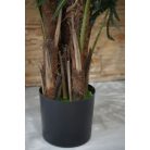 170 cm-ová umelá palma v kvetináči - Virgínia