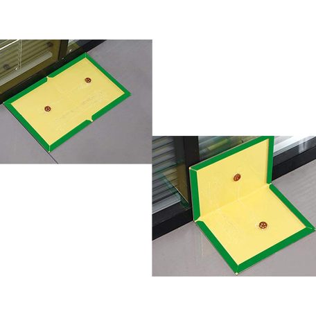 Pasca na myši a potkany (lepidlo)