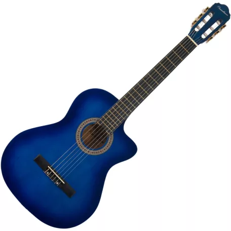 6-strunová akustická gitara - modrá (N-GF)