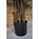 Virginia mimoriadne krásna palma v kvetináči - 150 cm