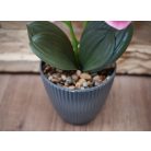 33 cm-ový umelý Phalaenopsis v kvetináči