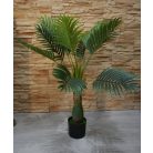 Esperanza výnimočne krásna palma v kvetináči - 100 cm