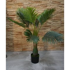 Esperanza výnimočne krásna palma v kvetináči - 100 cm