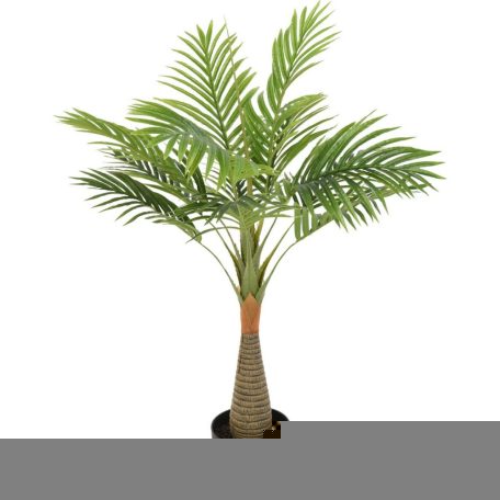 Esperanza výnimočne krásna palma v kvetináči - 100 cm