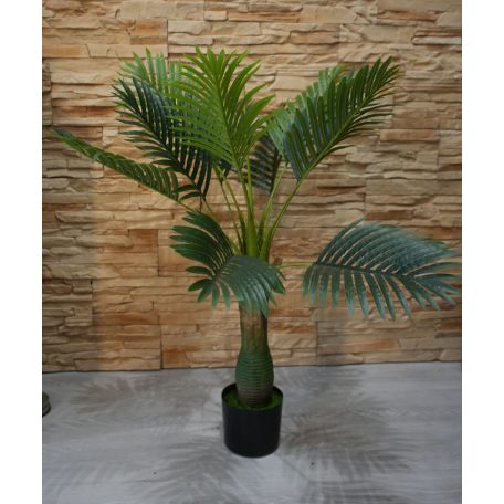 Esperanza výnimočne krásna palma v kvetináči - 100 cm