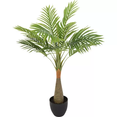 Esperanza výnimočne krásna palma v kvetináči - 100 cm