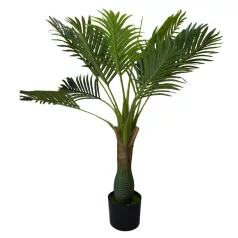 Esperanza výnimočne krásna palma v kvetináči - 100 cm