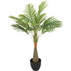 Esperanza výnimočne krásna palma v kvetináči - 100 cm