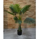 Esperanza výnimočne krásna palma v kvetináči - 100 cm