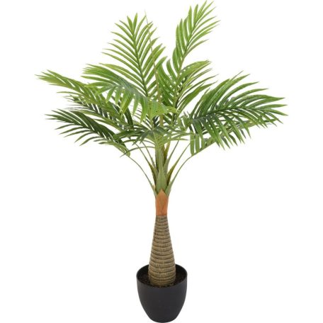 Esperanza výnimočne krásna palma v kvetináči - 100 cm