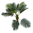 Esperanza výnimočne krásna palma v kvetináči - 100 cm