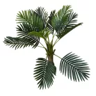 Esperanza výnimočne krásna palma v kvetináči - 100 cm