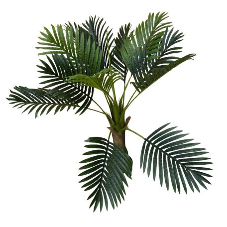 Esperanza výnimočne krásna palma v kvetináči - 100 cm