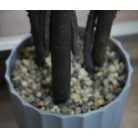 Umelý krušpán v tvare gule s kvetináčom - 3 guličkový