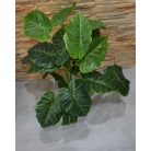 Výnimočne krásna umelá rastlina Alocasia v kvetináčoch - 70 cm
