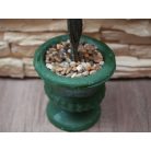 30 cm-ový umelý krušpán (buxus) v kvetináči