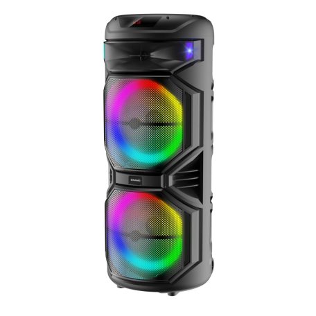 Veľký prenosný párty reproduktor s 2 mikrofónmi a svetlami - 1000 W PMPO