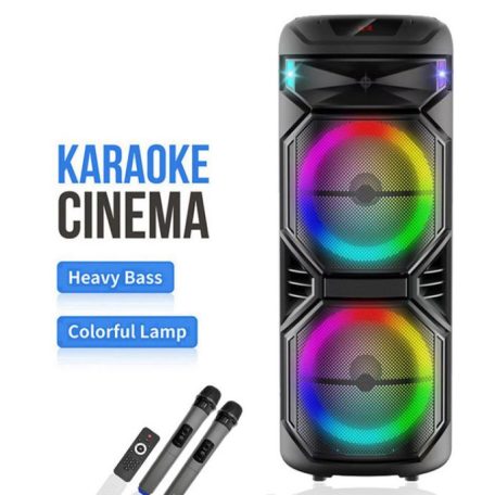 Veľký prenosný párty reproduktor s 2 mikrofónmi a svetlami - 1000 W PMPO